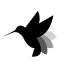 Botcamp