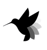Botcamp